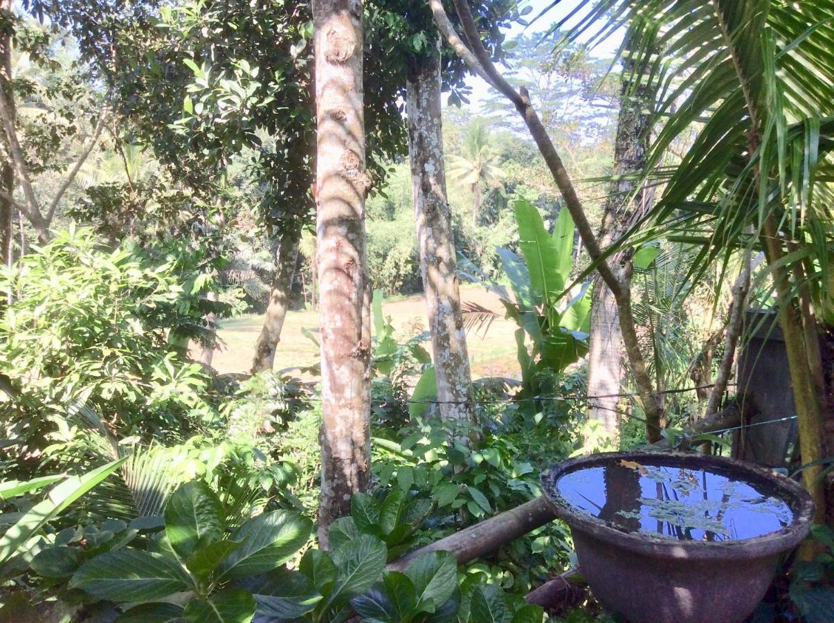 Rumah Irak Et Kadek Bali ウブド エクステリア 写真