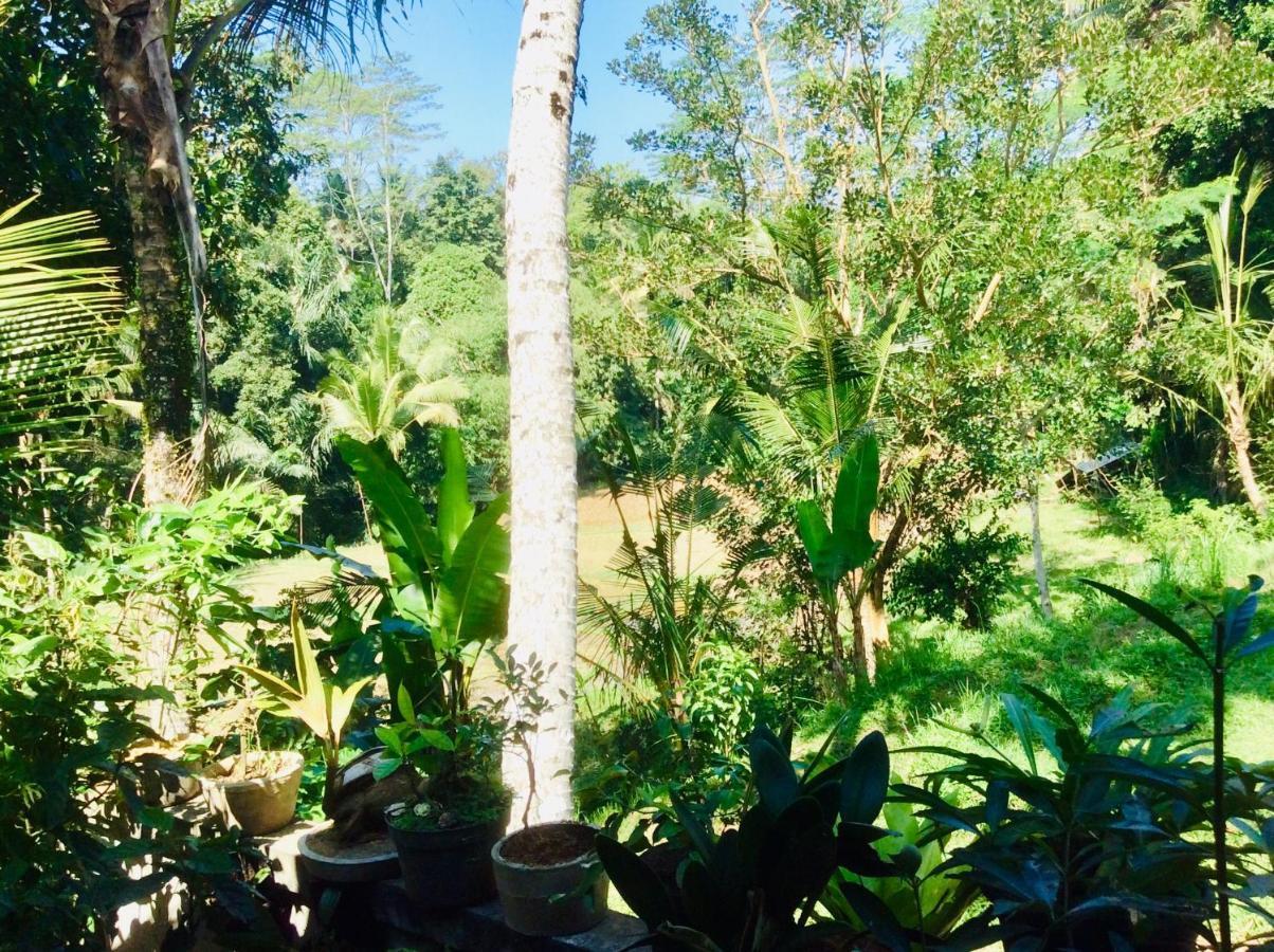 Rumah Irak Et Kadek Bali ウブド エクステリア 写真