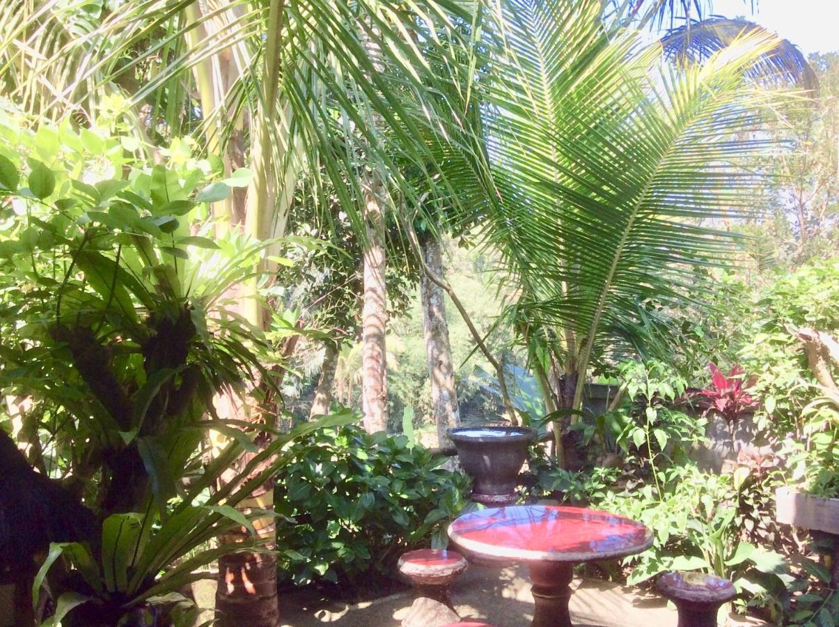 Rumah Irak Et Kadek Bali ウブド エクステリア 写真